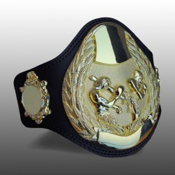 MMA Belts
