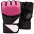 MMA Gloves