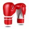 BOXING GLOVES