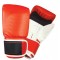 BAG GLOVES / MITTS