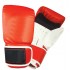 BAG GLOVES / MITTS