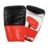 BAG GLOVES / MITTS