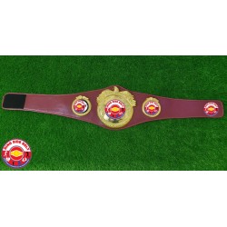 Championship Belts