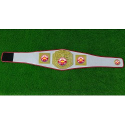 Championship Belts