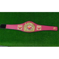 Championship Belts